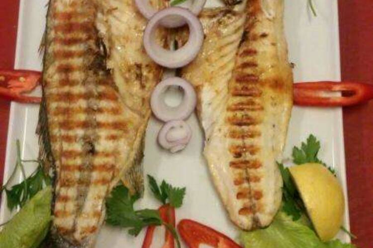 Diamond Marina Restaurant Bodrum Merkez Bodrum Zomato